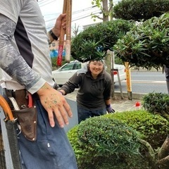 勤務地は東京都内・埼玉南西部など!!週2～でも大歓迎！女性も活躍中！ 技術と感性を磨き、手に職をつけてみませんか？ ￥12,000円～/日⭐ 造園作業☆植木屋☆庭師☆一人親方大歓迎☆の画像