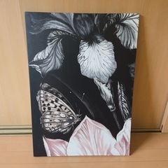  IKEA イケア PJÄTTERYD プィエッテリード 蝶の絵