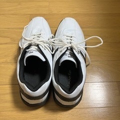 二木ゴルフ　ゴルフシューズメンズ28.0の画像