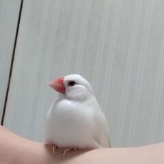 30代友達募集🙌