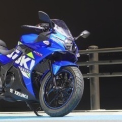 1/18までGSX-250r 2020年式 自賠責あり！