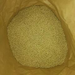 令和5年産　新米コシヒカリ　30kg