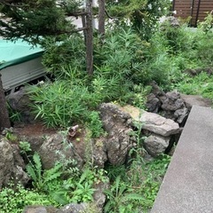 庭石　無料であげます。の画像
