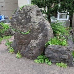庭石　無料であげます。の画像