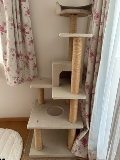 【決まりました！】キャットタワー
