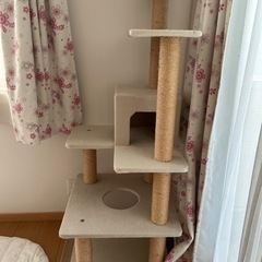 【決まりました！】キャットタワー