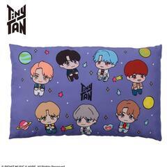 BTS TinyTAN プレミアムクッション ～DNA～