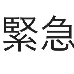 自宅にて深夜のゴキブリと遭遇