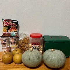 訳あり品&クーラーボックスセット