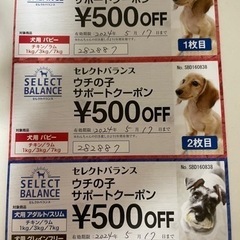セレクトバランス うちの子サポートクーポン