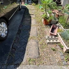 庭の雑草引きを手伝って下さい