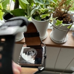 ディーゼル腕時計の画像