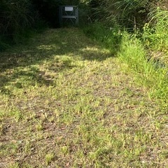 草刈り