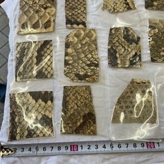 蛇皮　ヘビ革　の画像