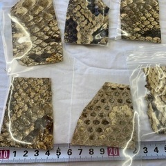 蛇皮　ヘビ革　の画像