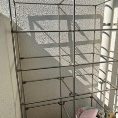 ガラス棚　植物置きにいかがでしょうか