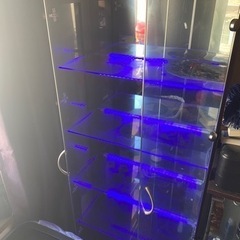 ガラスショーケース