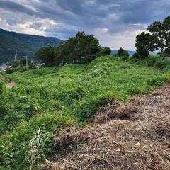 草刈り、伐採等