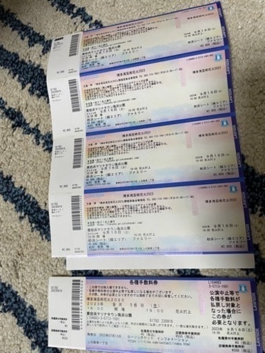 急募‼️博多湾芸術花火2023 砂浜シート(緑エリア)、ファミリー券、5人まで