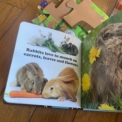 予約あり【英語/知育】2-5歳　動物遊びおもちゃ/ほぼ新品の画像