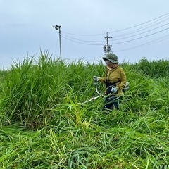 草刈りと草集めのお手伝いの募集です🌱✂️
