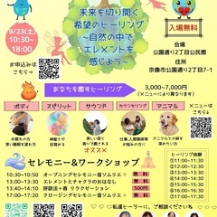 音ソムリエ®︎レメディ奏法　サウンドヒーリングで癒しを♪ - 宇部市
