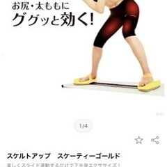 スケルトアップ　スケーティーゴールドの画像