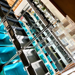 虹色めだかの画像