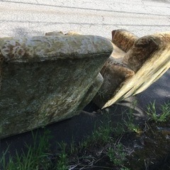 昭和レトロ　ソファー　の画像