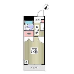 💙💙フリーレント1ヶ月付き😍敷礼０！《1K》新座市🐻ひばりヶ丘駅...