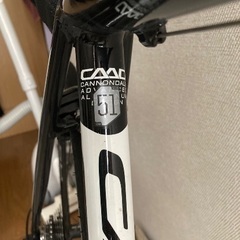 キャノンデール　2016年式モデルの画像