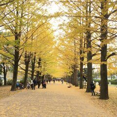 お休みは自分で決める❓シフトフリーの短期日払いお仕事です