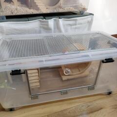 【引取先決定】ハムスターゲージ 大 その他