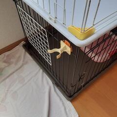 (お話し中)犬用ゲージ2.トイレ2.ドリンクホルダー2の画像
