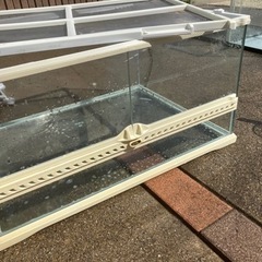 爬虫類のです。