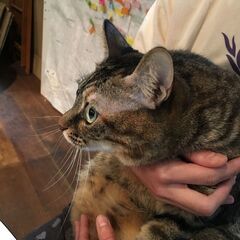 【9/27】わんにゃんお話会の画像