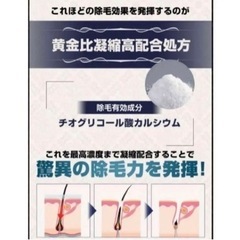s66 お買い得！　VIDAN THE LOGIC (ビダン ザ ロジック) ×2の画像