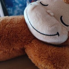 スパイファミリーシリーズとその他