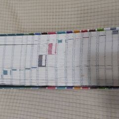 【旧版】あつまれ どうぶつの森 完全攻略本＋超カタログの画像