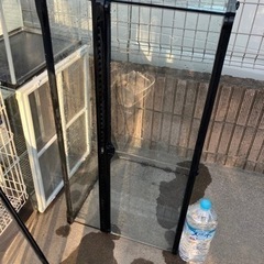 爬虫類の