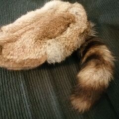北米探検ごっこ用？毛皮（本物）の帽子　アライグマのしっぽを後ろにして被ってねの画像