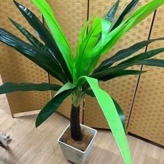 【引取】観葉植物 インテリア フェイクグリーン