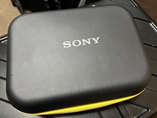 本日のみ特価！　SONY FDR-X3000