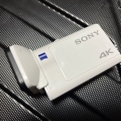 本日のみ特価！　SONY FDR-X3000