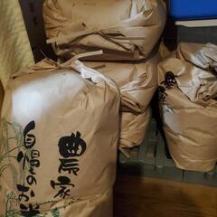 まっしぐら玄米10kg
