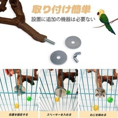 インコ　オウム　とまり木 天然ブドウの木  2本セットの画像