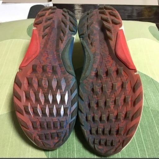 【ECCO GORE-TEX BIOM H4】エコーゴルフシューズ