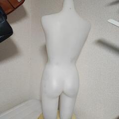 トルソー　マネキンの画像