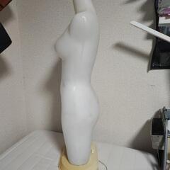 トルソー　マネキンの画像