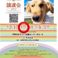 9月17日 保護犬　保護猫　譲渡会